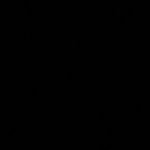 Meet your Posher, Tee